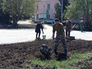 В сквер Тойшибаева в Риддере пришли озеленители-профессионалы