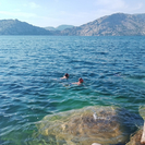 В ВКО Сибинские озёра причислили к небезопасным для купания водоёмам