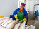В ВКО планируется строительство комплекса по переработке рыбной продукции