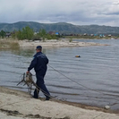 В ВКО начали обследовать пляжи на Бухтарминском водохранилище