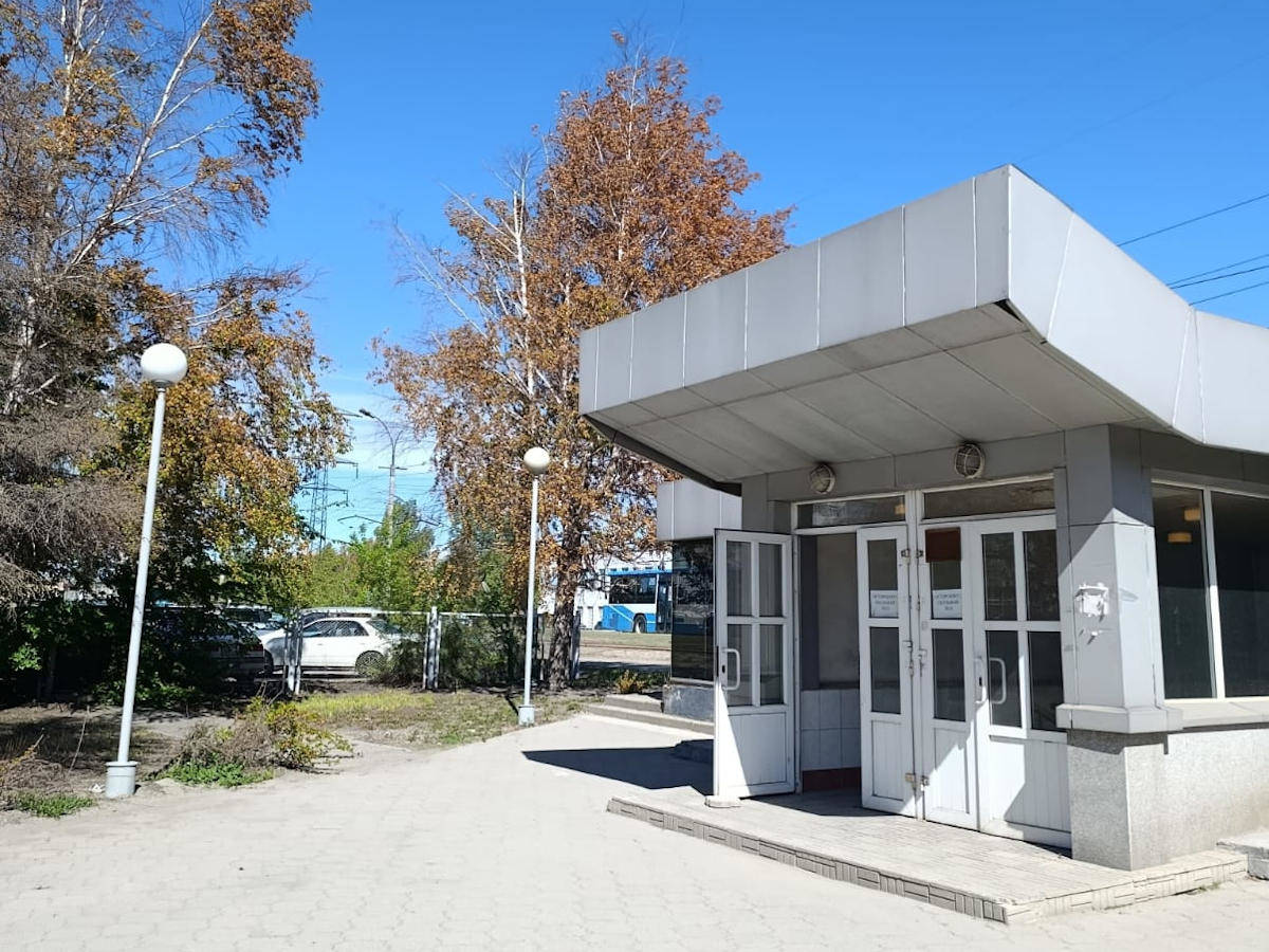 В Усть-Каменогорске в мае пожелтела листва на деревьях: ситуацию прокомментировали экологи