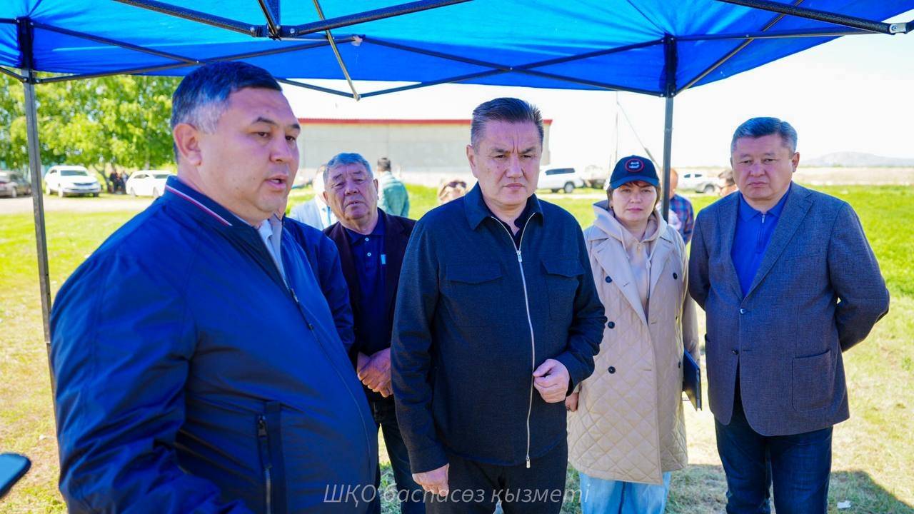 ШҚО-ның Ұлан ауданында көктемгі егіс науқаны қалай жүріп жатыр