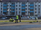 В Усть-Каменогорске приступили к посадке цветов на клумбах 