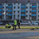 В Усть-Каменогорске приступили к посадке цветов на клумбах