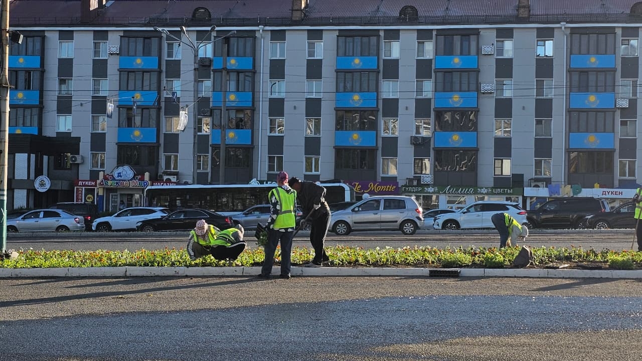 В Усть-Каменогорске приступили к посадке цветов на клумбах