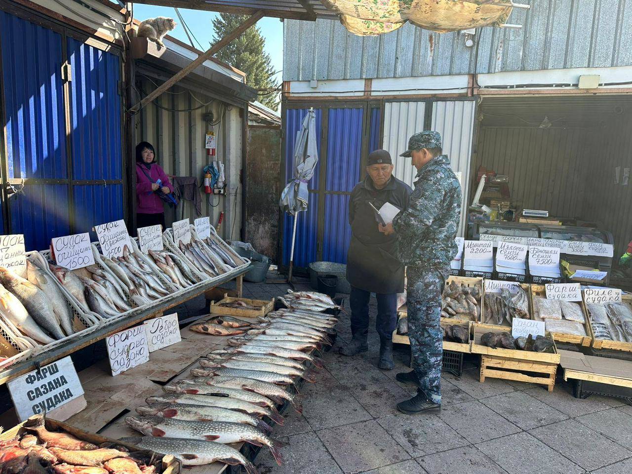 В ВКО полицейские в рамках ОПМ проверят стройки, рынки и кафе