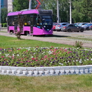 В Усть-Каменогорске появились клумбы с оригинальным дизайном
