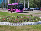 В Усть-Каменогорске появились клумбы с оригинальным дизайном