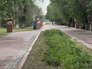 В Усть-Каменогорске в ближайшее время благоустроят бульвар Гагарина