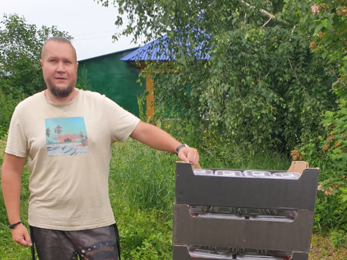 Житель Шемонаихинского района превратил 15 соток земли в успешную ягодную плантацию