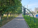 В Усть-Каменогорске начали устанавливать цветочные арки