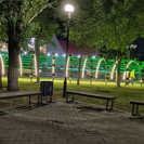 В Усть-Каменогорске на цветочной арке появилась подсветка