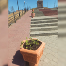В Усть-Каменогорске работы по озеленению проводятся возле памятника Кабанбай батыру 