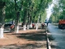 В Усть-Каменогорске на аллее у аэропорта появится газон