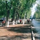 В Усть-Каменогорске на аллее у аэропорта появится газон