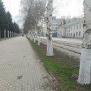 О пользе побелки деревьев рассказали в «Таза Өскемен»