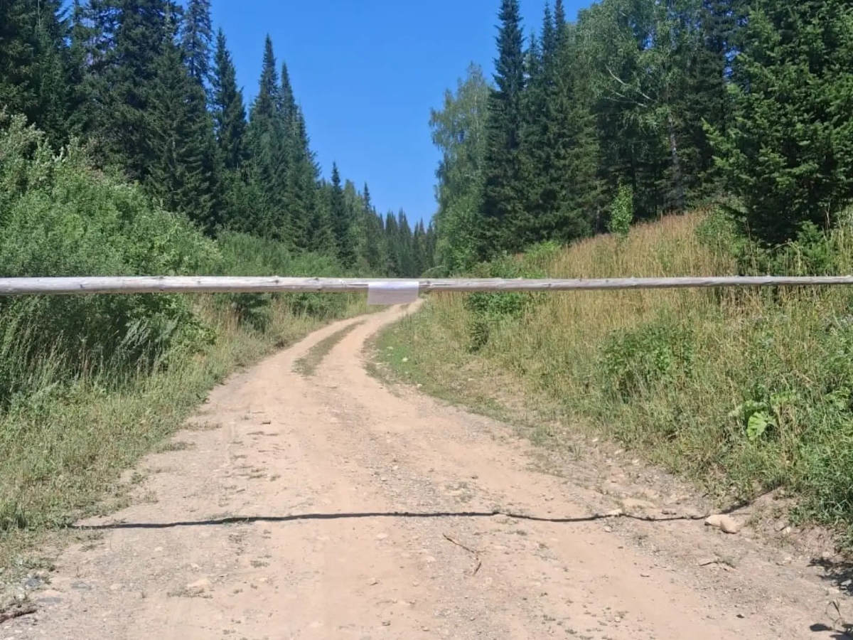 В ВКО закрыли въезд на территорию государственного лесфонда