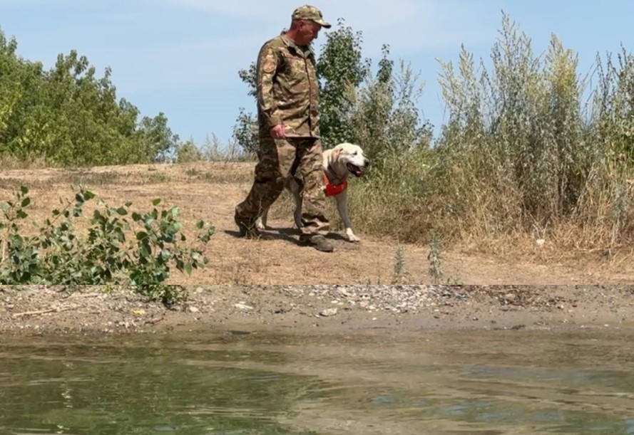 В ВКО с начала купального сезона на водоемах погибли восемь человек