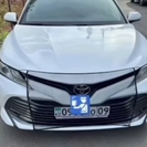 Автомобилиста едва не арестовали за использование москитной сетки на авто