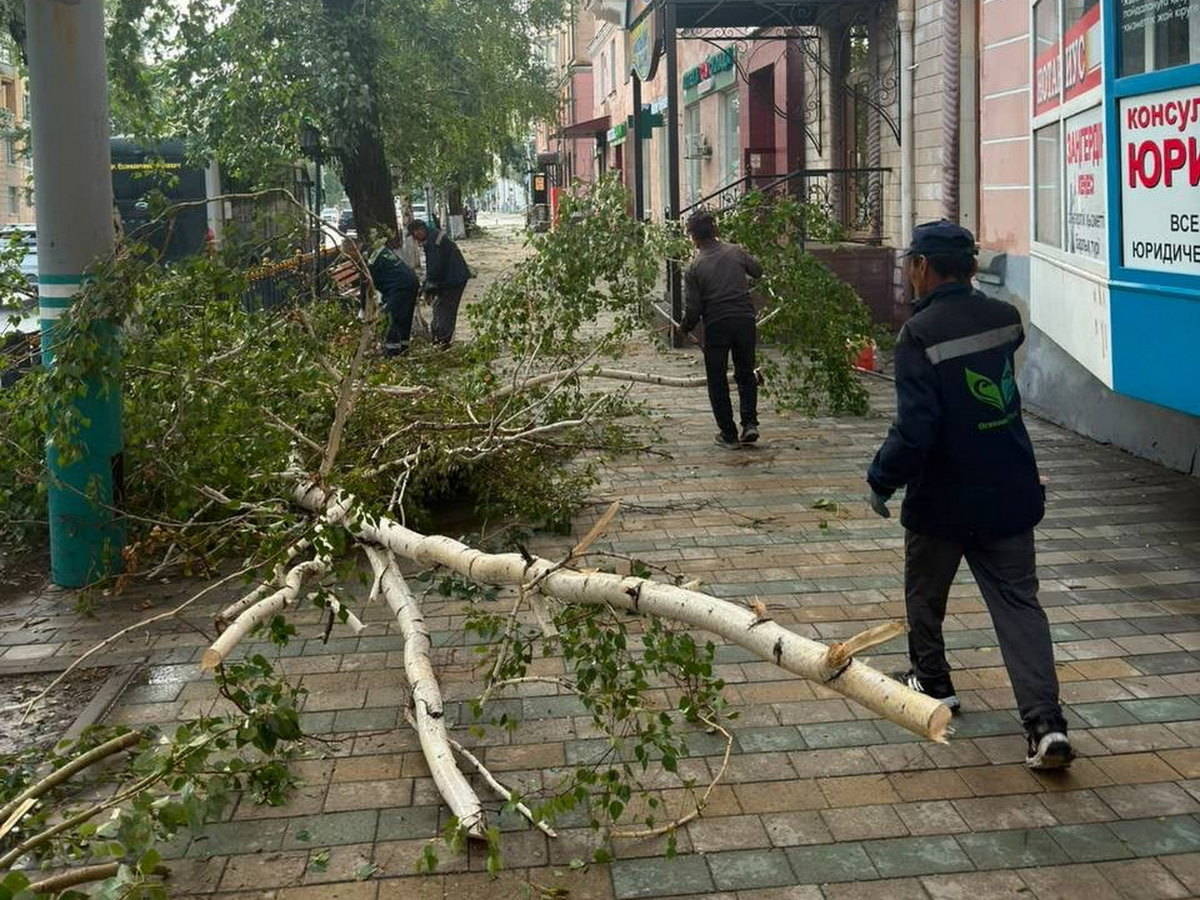 В Усть-Каменогорске продолжают убирать поваленные ветром деревья