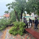 Аким ВКО поблагодарил всех, кто без перерыва устранял последствия непогоды 