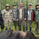 Медведь растерзал туристку: в Республике Алтай ведется массовый отстрел медведей 