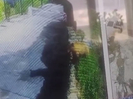 В соцсетях распространяют видео с медведем, которого якобы засняли в Усть-Каменогорске