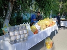 В Усть-Каменогорске организованные на участках ярмарки удивили горожан