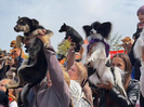 В Усть-Каменогорске пройдет семейный фестиваль PET DOG FEST 2026
