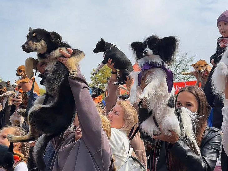В Усть-Каменогорске пройдет семейный фестиваль PET DOG FEST 2026
