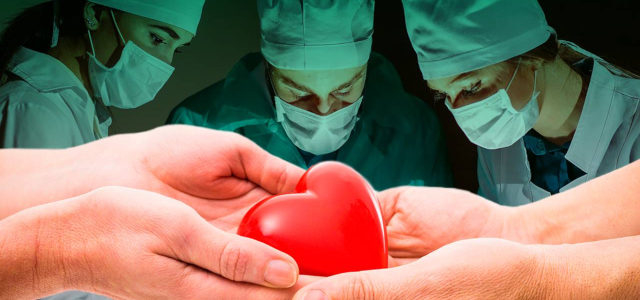 В ВКО в листе ожидания на пересадку органов стоят более 200 человек