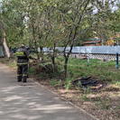 В Усть-Каменогорске горят кучи валежника