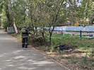 В Усть-Каменогорске горят кучи валежника