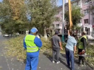 В Усть-Каменогорске продолжается обрезка деревьев