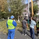 В Усть-Каменогорске продолжается обрезка деревьев