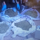 В Риддере в гараже обнаружили почти 6 килограммов марихуаны