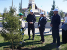 В Усть-Каменогорске высадили 250 саженцев высотой до двух метров