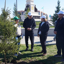 В Усть-Каменогорске высадили 250 саженцев высотой до двух метров