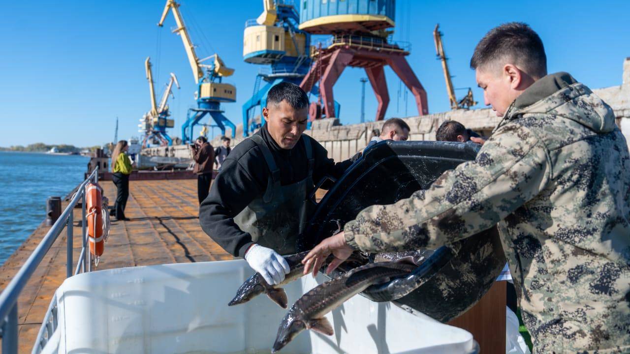ШҚО-да 3,7 млрд теңгеге балық өсіру жобасы жүзеге асырылады