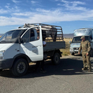 ОПМ «Барьер»: в ВКО проверили более 1200 автомобилей