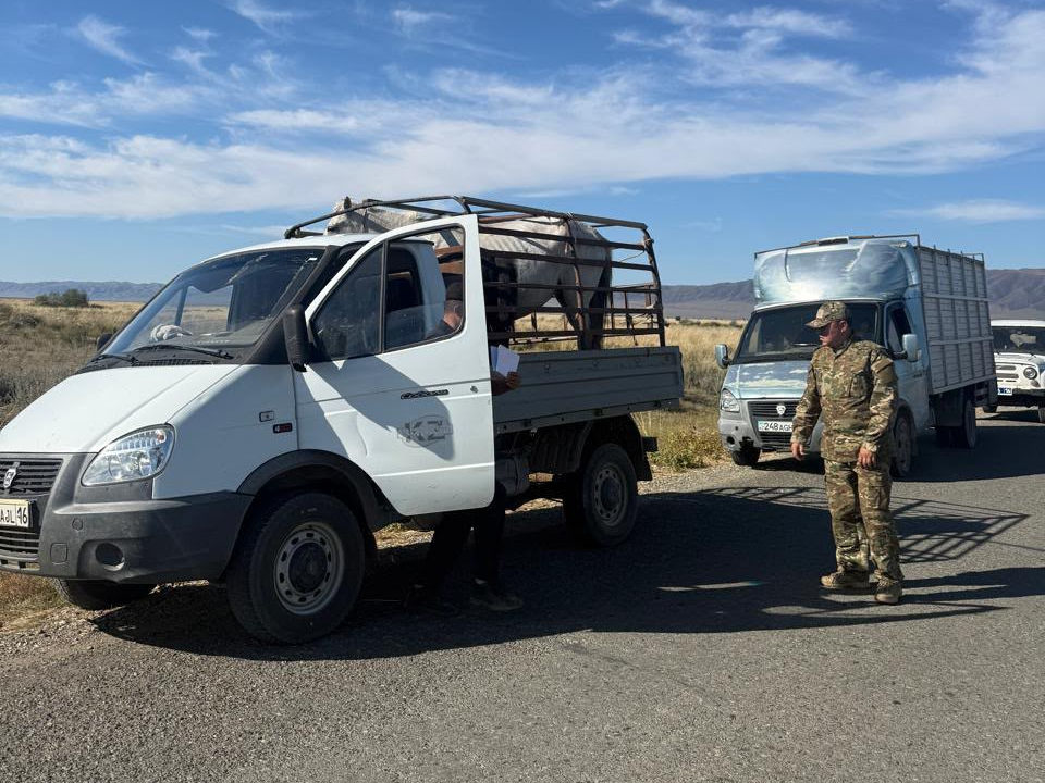 ОПМ «Барьер»: в ВКО проверили более 1200 автомобилей