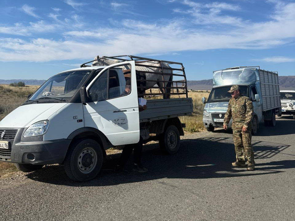 ОПМ «Барьер»: в ВКО проверили более 1200 автомобилей