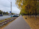 Какая погода ожидается в ВКО в выходные?