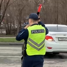 В ВКО водители продолжают игнорировать ремни безопасности