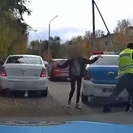 В Усть-Каменогорске полицейские устроили погоню за автомобилистом