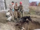 В Усть-Каменогорске сотрудники службы по ЧС спасли жеребенка