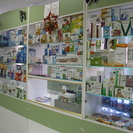 В аптеках Усть-Каменогорска обнаружили завышенные цены и отсутствие некоторых лекарств