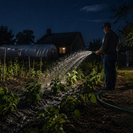 Жителей Усть-Каменогорска просят поливать огороды только ночью