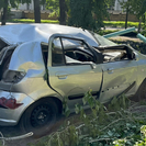 В Усть-Каменогорске поваленные ветром деревья повредили авто — председатель КСК