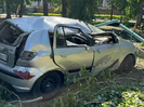 В Усть-Каменогорске поваленные ветром деревья повредили авто — председатель КСК